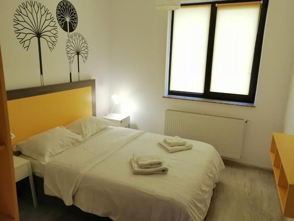Cozy Accommodation Central City - ヤシ エクステリア 写真